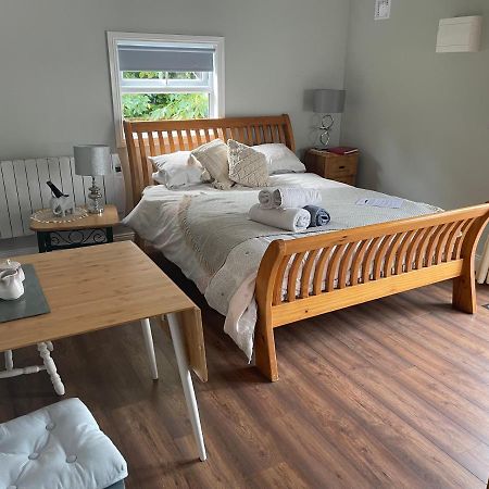 キャッシェル Kingstown House Bed & Breakfast エクステリア 写真
